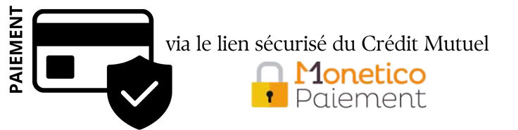 icon-paiement-securise